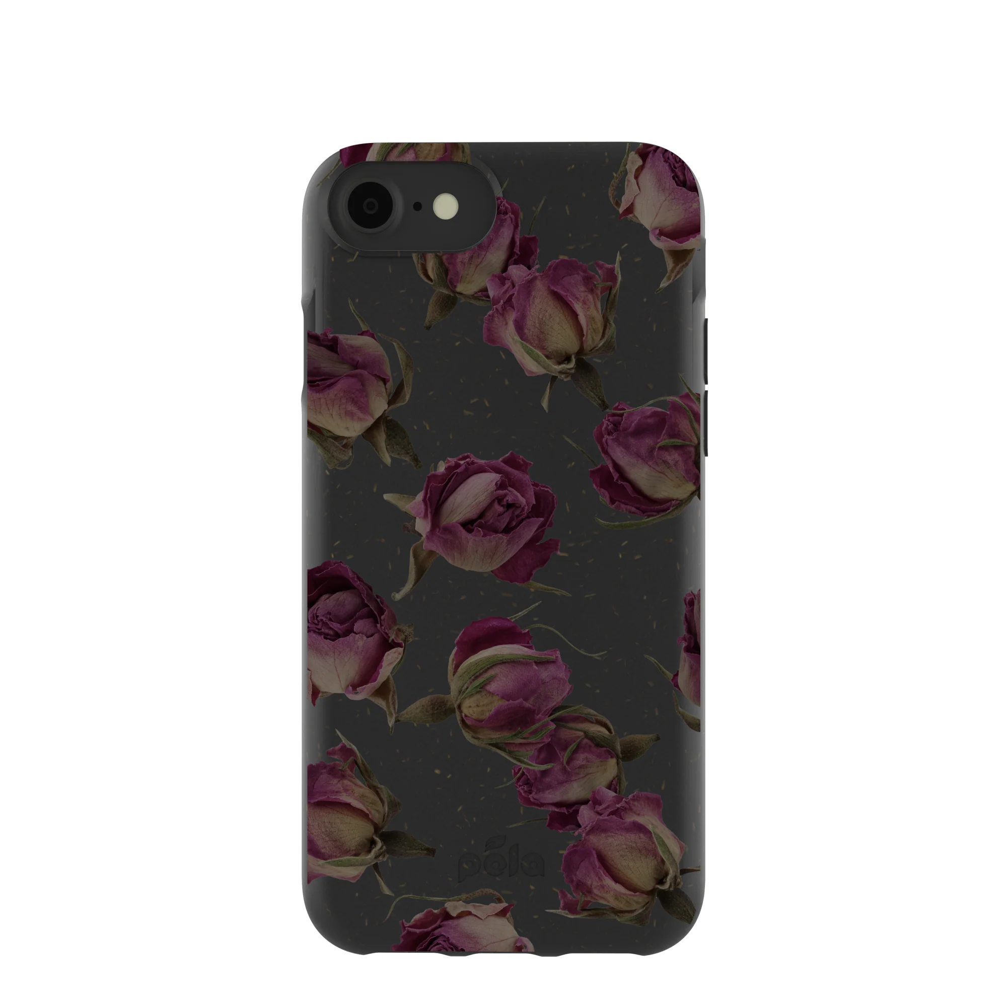 Black Dried Rosebuds iPhone 6/6s/7/8/SE Case