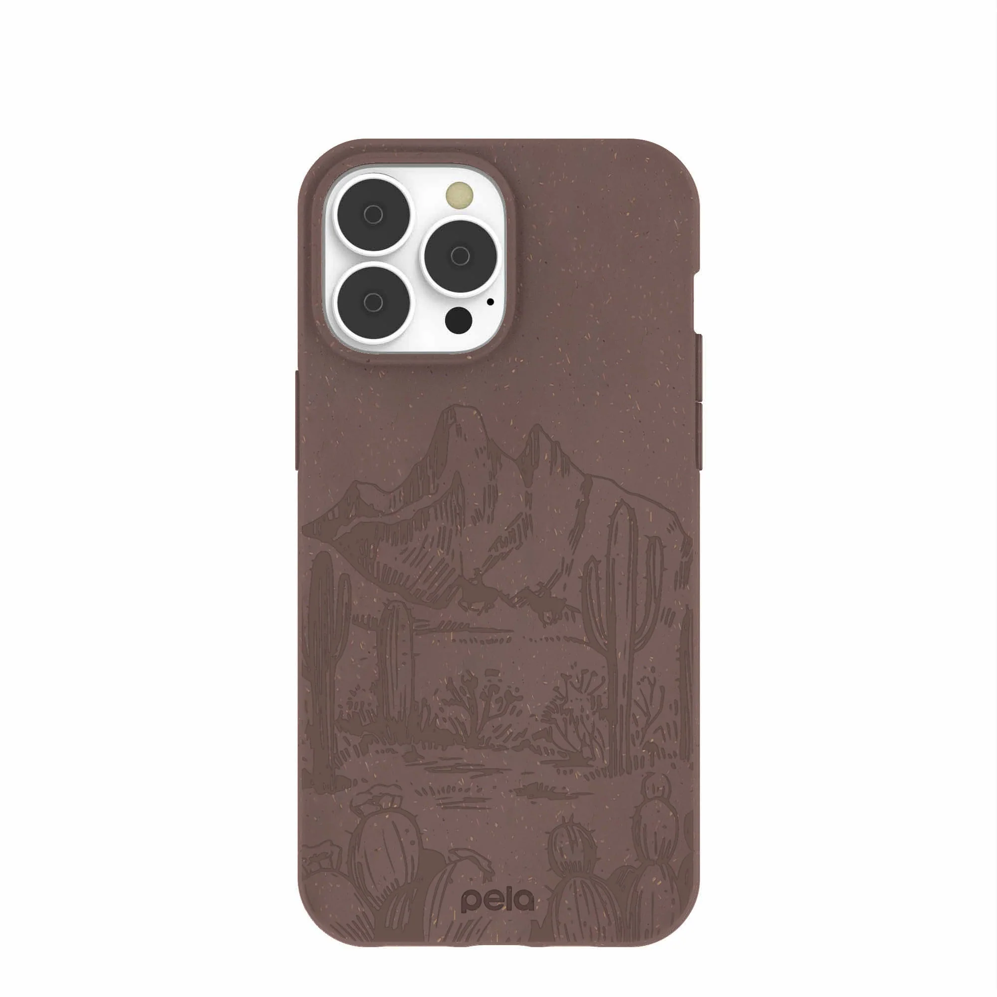 Chocolate Brown Desert Run iPhone 13 Pro Max Case