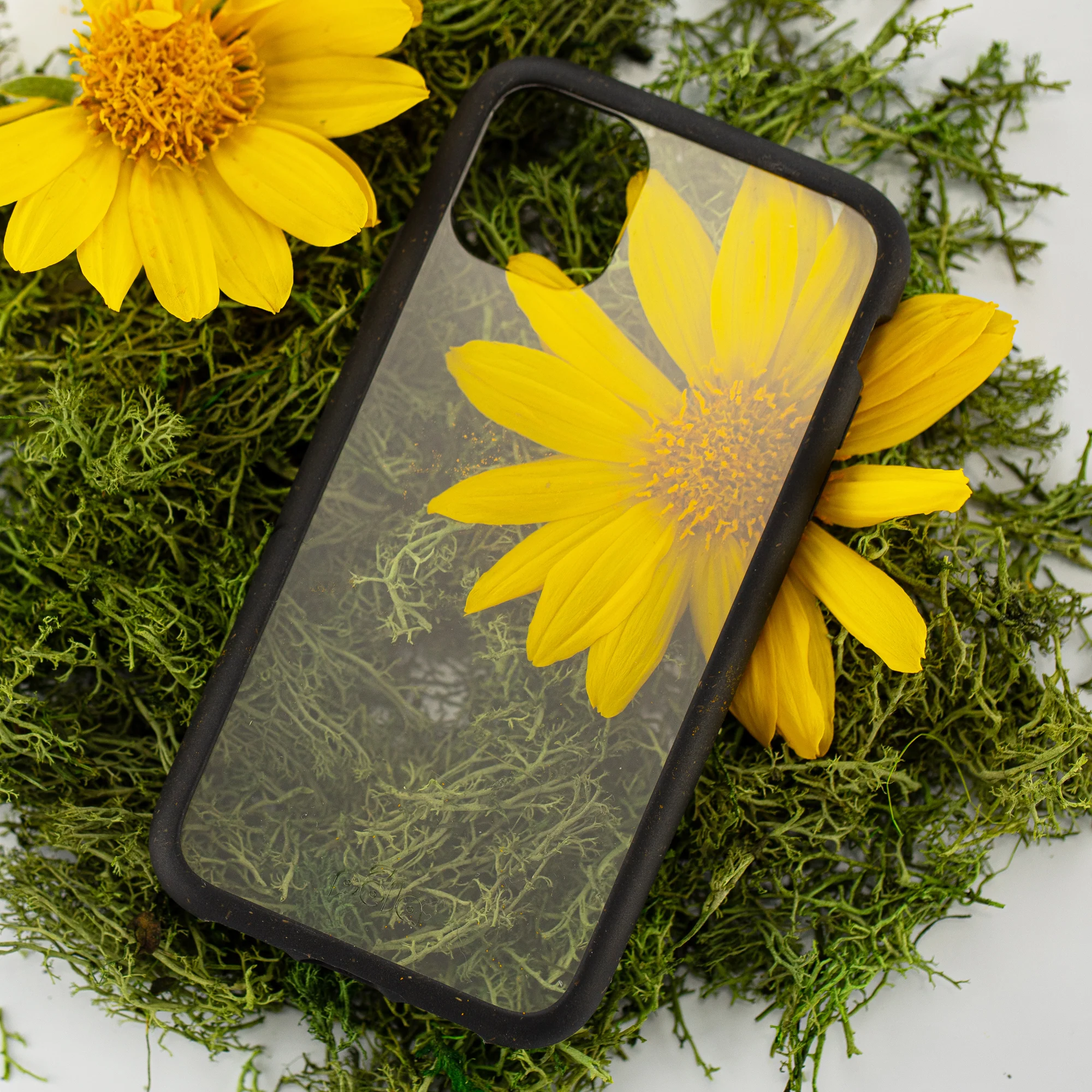 Clear iPhone 11 Pro Max Case with Black Ridge - Image 5